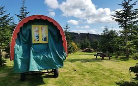 Clissmann Horse Caravans Glamping