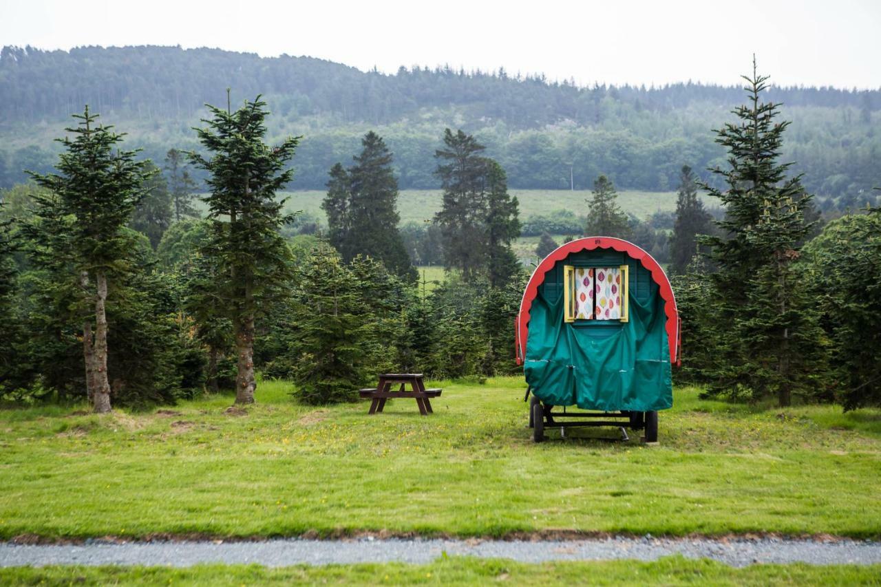 Clissmann Horse Caravans Glamping Rathdrum Exterior photo